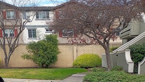 A residential driveway with a green mailbox, a tree, and a brick wall. - Beautiful Gated 2-bedroom 1 bath Condo with fireplace in fabulous Hayward. (Hayward)