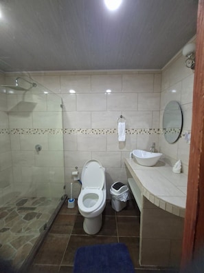 A bathroom with a shower, toilet, sink, and a mirror.