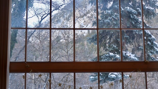 Ein Fenster mit Blick auf einen verschneiten Wald.