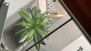 A room with a glass table, a potted plant, and a chair with a patterned cushion. - Bella Vita - Apartment with free parking (Zagreb)