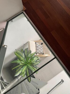 Apartament clàssic, pati, vistes al jardí | Interior