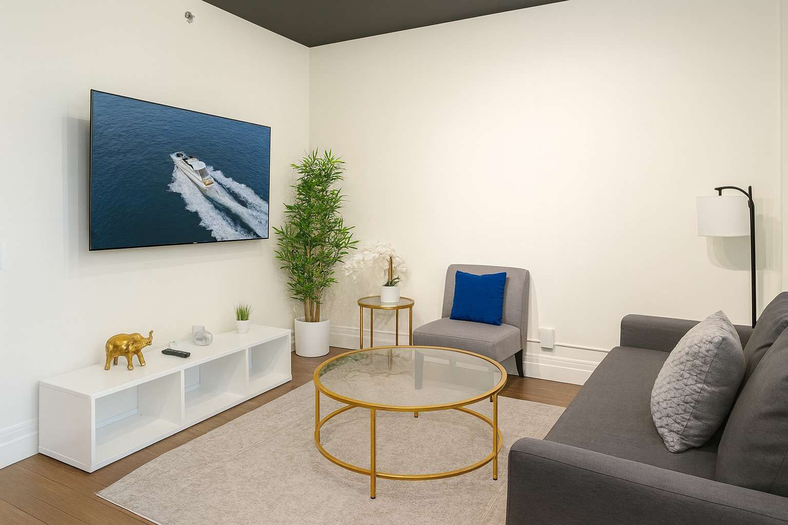 Fernseher, Arbeitsbereiche