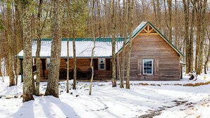 A wooden cabin with a green roof surrounded by trees in a snowy landscape. - Back Country Roads Rustic Escape (Jumping Branch)