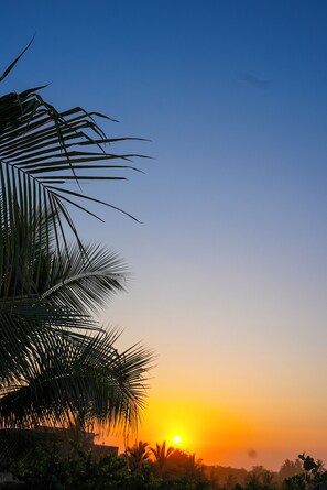 Miscellaneous - House near the beach. Come with the whole family to enjoy! (Brisas de Zicatela)