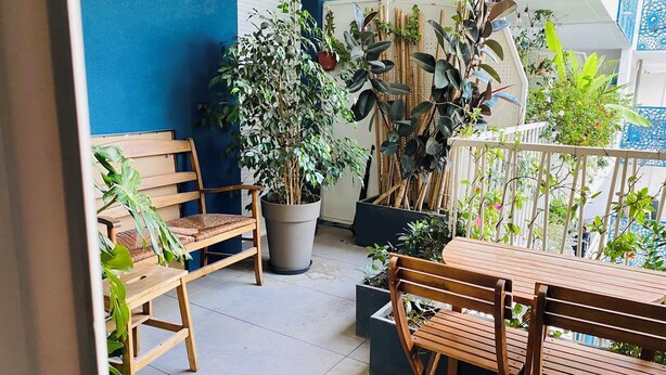 Varanda com móveis de madeira, plantas em vasos e parede azul.