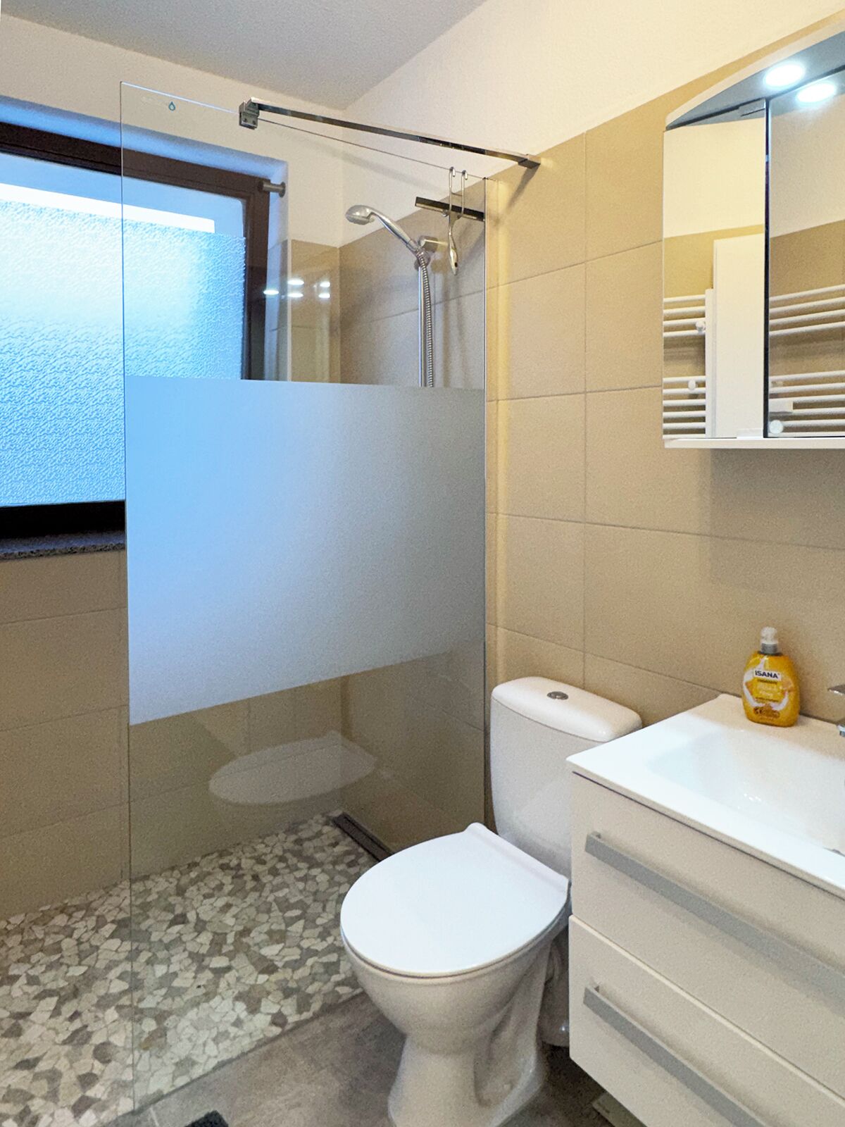 Une salle de bain avec une douche à parois de verre, des toilettes et un lavabo avec un miroir au-dessus.