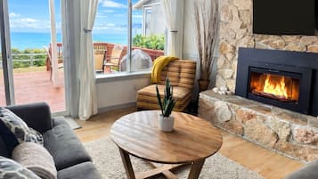 Smart TV, fireplace, books, music library