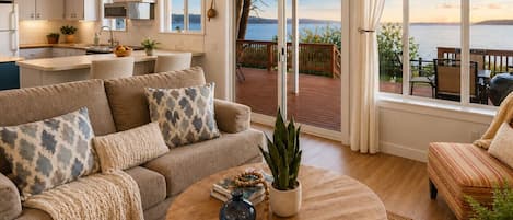 Smart TV, chimenea, libros y biblioteca musical