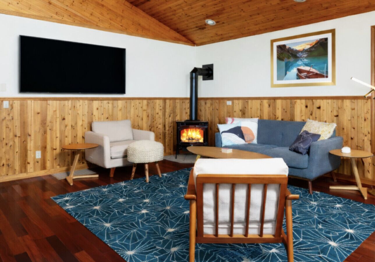 TV connectée, cheminée, livres, médiathèque