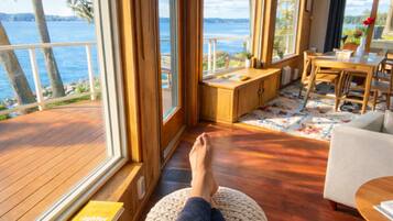 TV connectée, cheminée, livres, médiathÚque