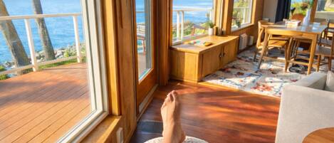 Smart TV, fireplace, books, music library