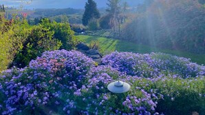 A garden with purple flowers and a gazebo. - Farm barn with territorial view in Banks w/ pheasants- 1 hour drive to coastal (Banks)