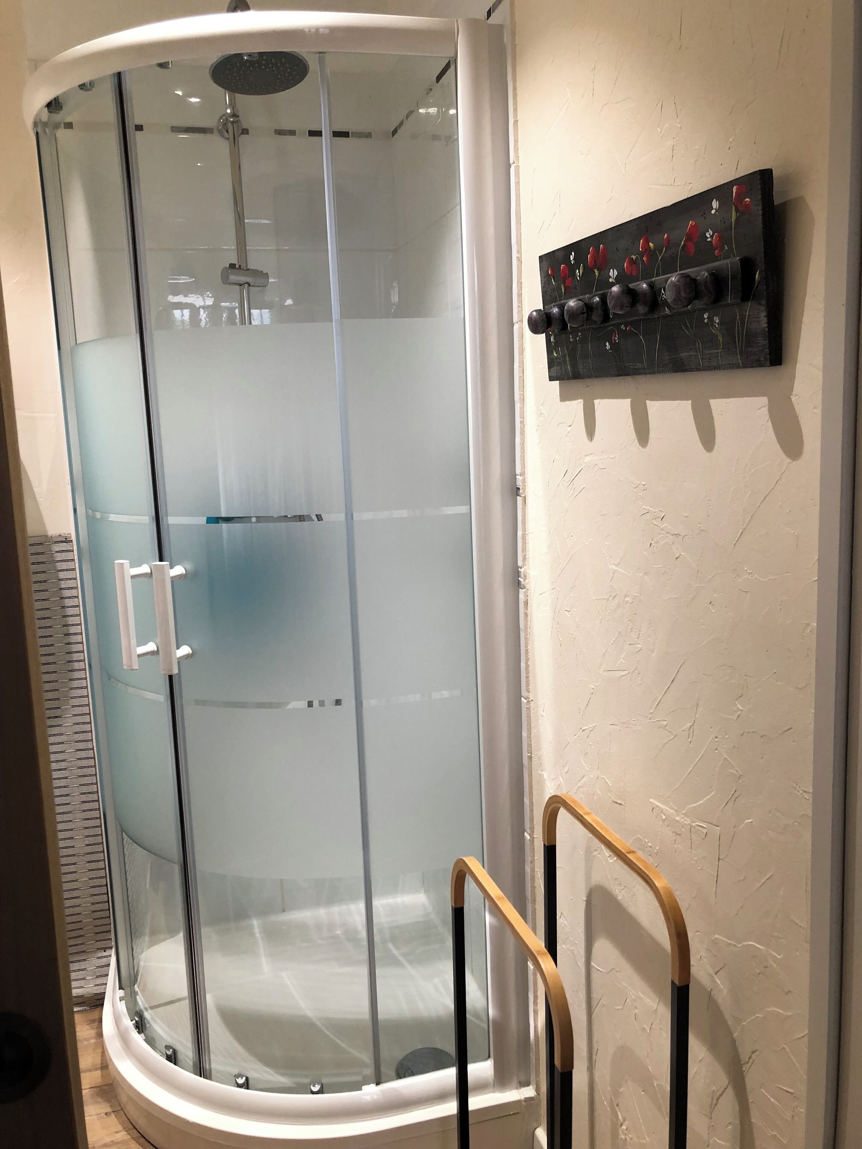 Shower, hair dryer, towels, toilet paper