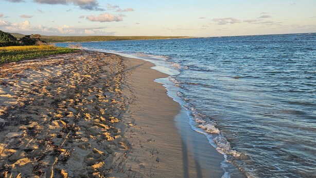 Ein Strand mit sandigem Ufer und sanften Wellen.