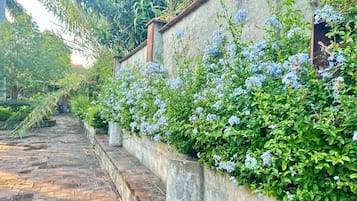 Área da propriedade