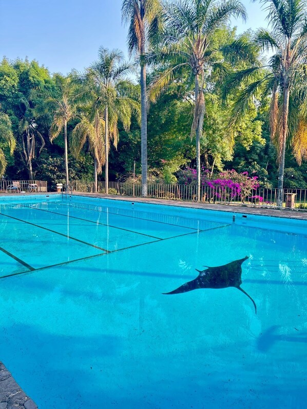 Una piscina al aire libre