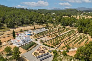 Vue aérienne d’une propriété comprenant un bâtiment blanc, une piscine et un jardin aménagé.