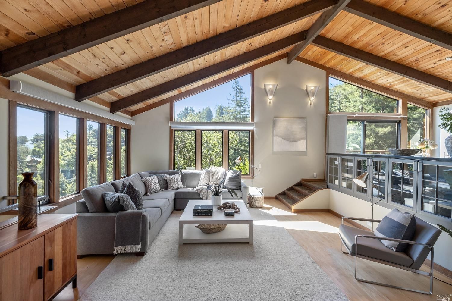 Smart TV, fireplace, DVD player, books