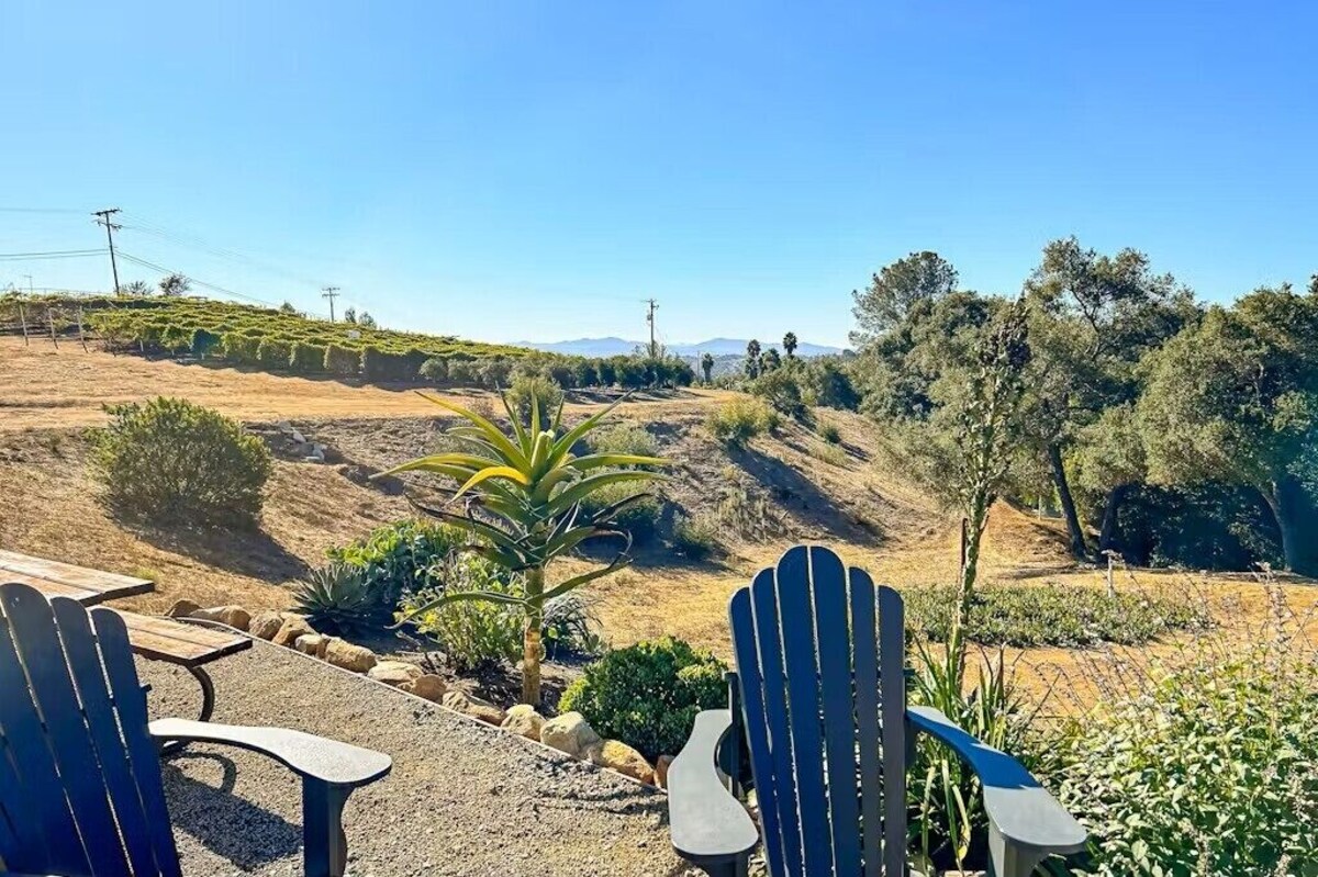 Værtens profilbillede