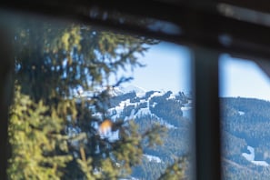 Interior - Stylish Whistler Village Condo with free parking (Whistler)