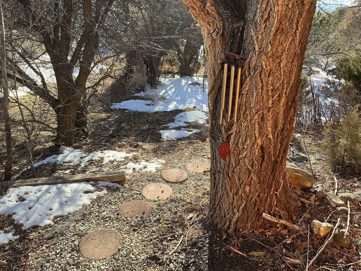 Imagen de perfil del propietario o de la propietaria