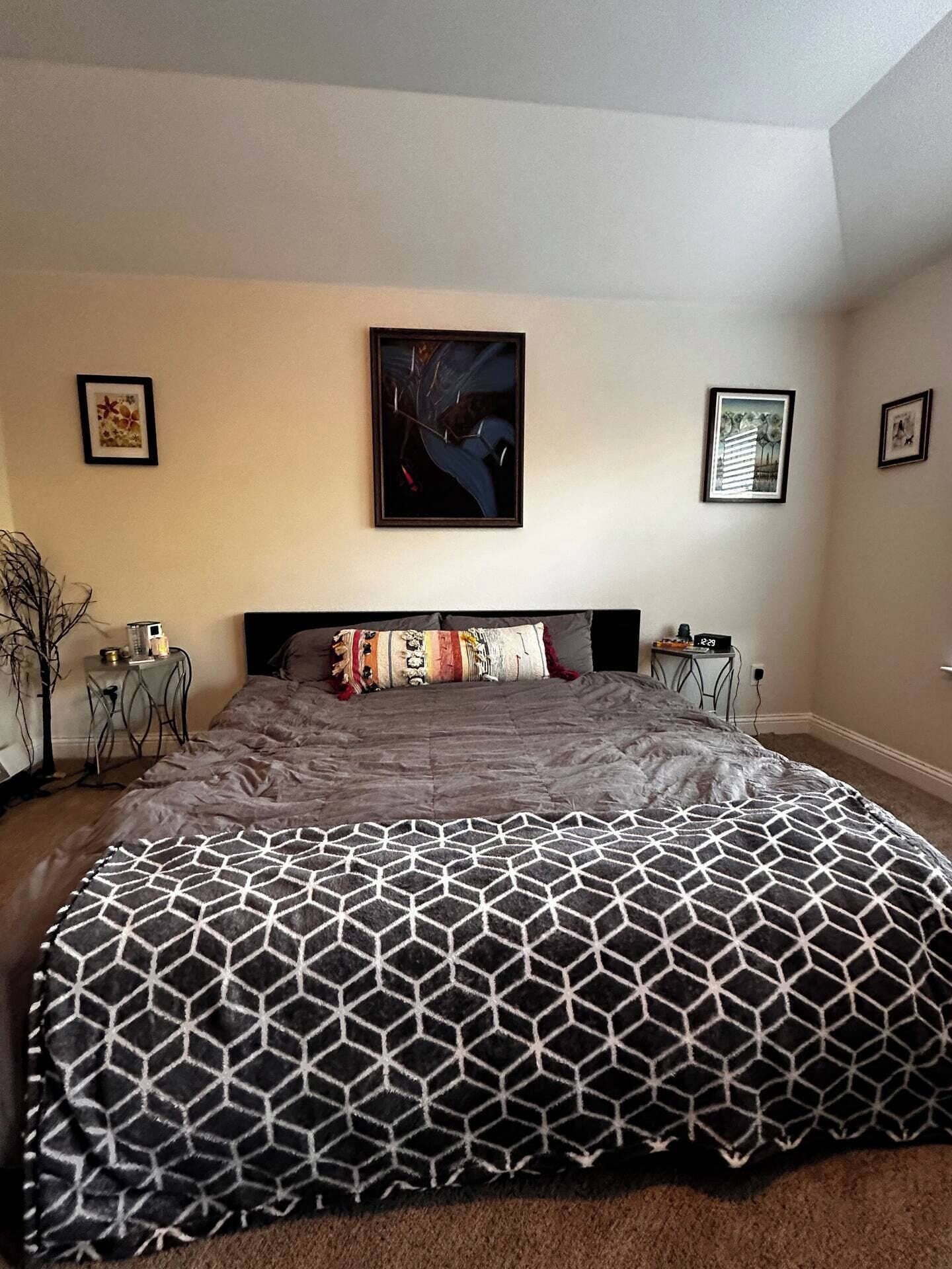 Strykejern/-brett, wi-fi og sengetøy