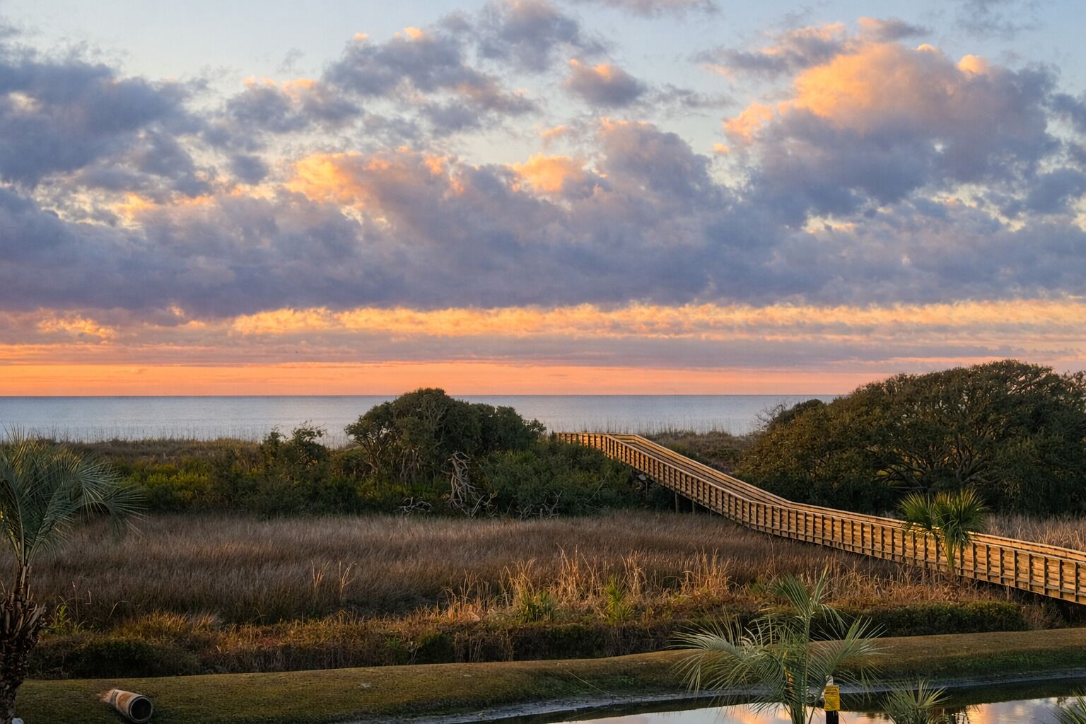 A wooden boardwalk leading to a body of water, surrounded by dense vegetation and a sunset sky.