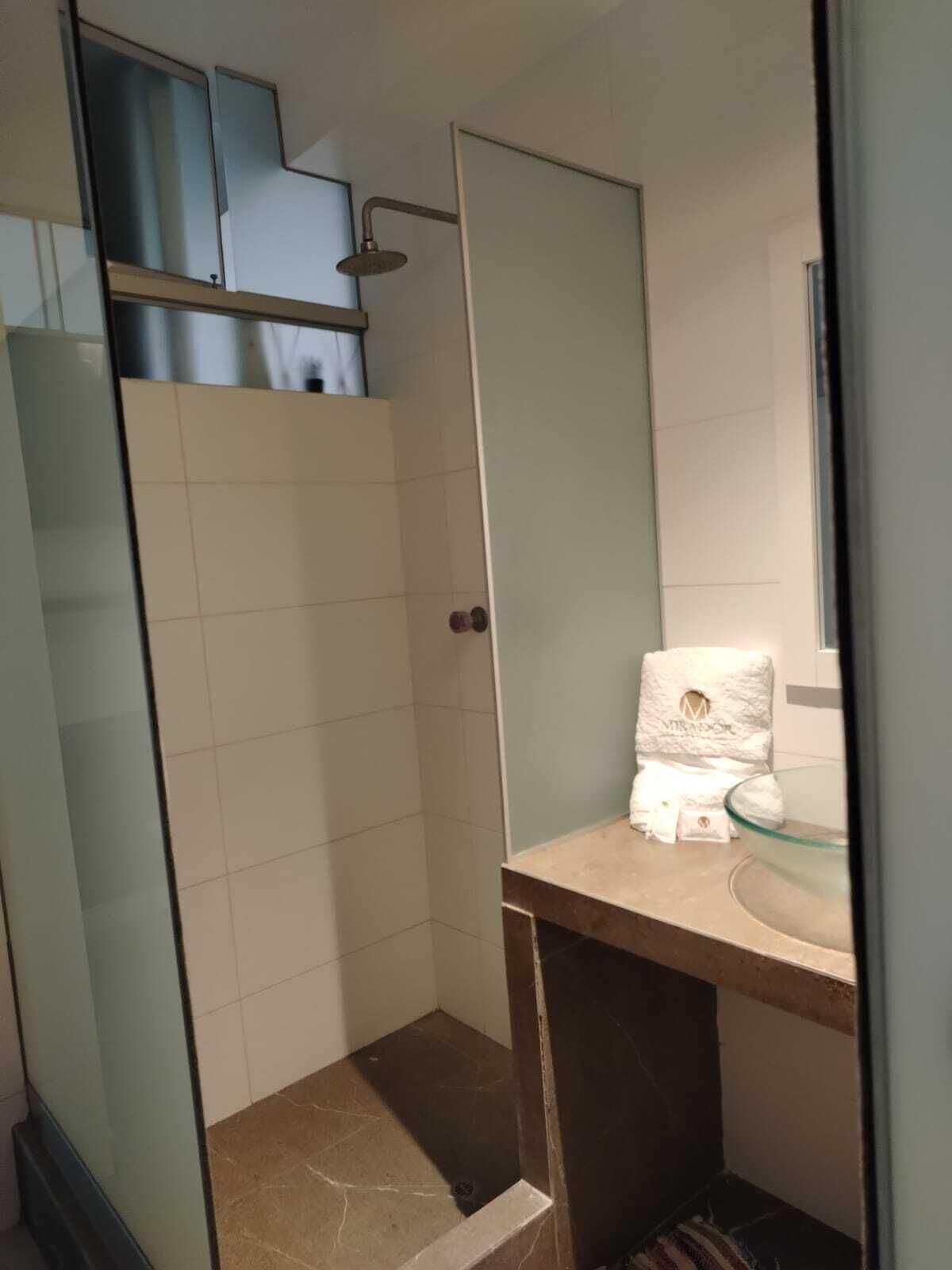 Deluxe Double Room | Bathroom | Shower, towels, soap, shampoo