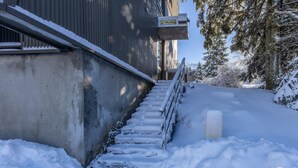 En snötäckt utomhustrappa som leder upp till en byggnad med en skylt där det står "L'Avenue".