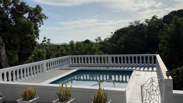 Une piscine rectangulaire ornée d’une balustrade blanche, entourée de plantes en pot et d’un portail en métal décoratif.