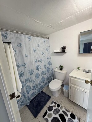 Et badeværelse med bruseforhæng, toilet, håndvask og en lille hylde med planter.