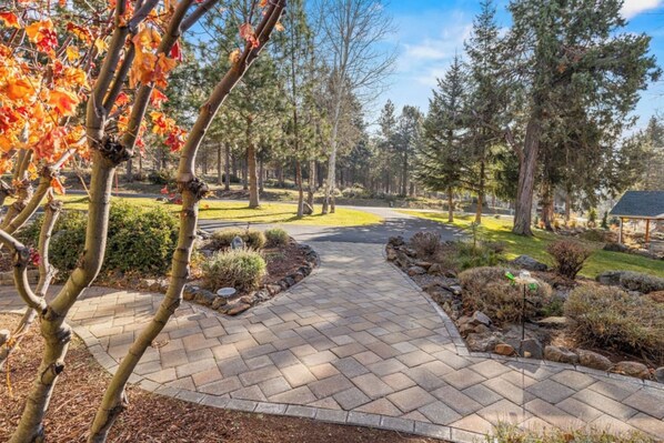 A paved pathway leading through a landscaped area with trees and shrubs.