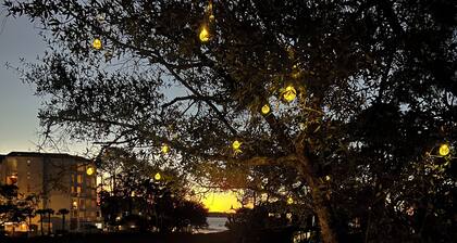 Sunset Canopy at Harbourtown
