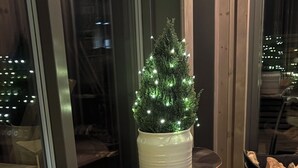 Un banco de madera con una bandeja que contiene naranjas, una planta en maceta con luces y vistas de la ciudad por la noche a través de amplios ventanales.