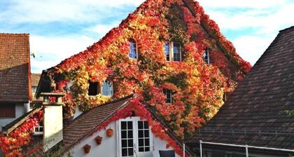 Les Mignardises by Interhome