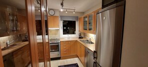 Fridge, oven, stovetop, dishwasher - Great apartment with extreme views (Troms)