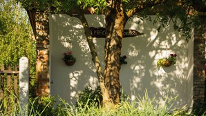 Ein Baum mit einem Schild, das „PRAC“ und „ORURO“ zeigt, an einer weißen Wand, mit hängenden Blumenkörben.