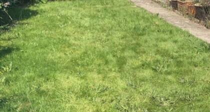 Wexford Townhouse With Private Garden