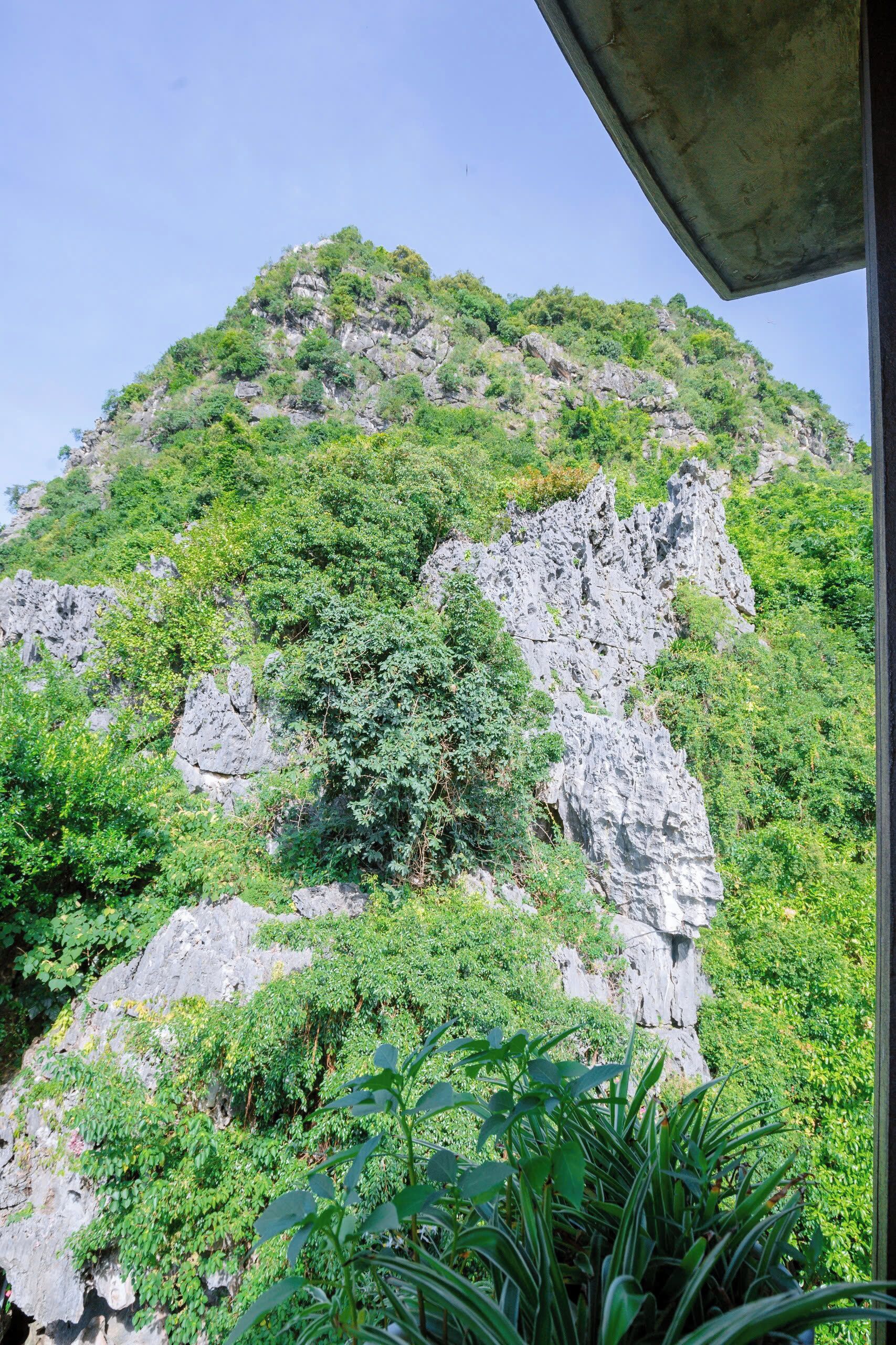 A mountain with rocky cliffs and dense greenery.