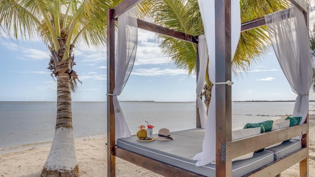 Een ligbed met zonnescherm, een palmboom en uitzicht op zee.