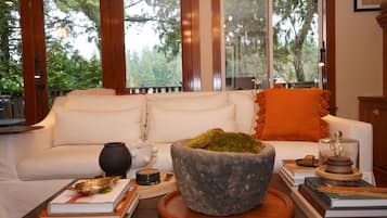 TV connectée, cheminée, livres