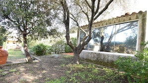 A garden area with trees, a large window, and a building with a tiled roof. - Detached cottage with a/c and two bathrooms (Aglientu)