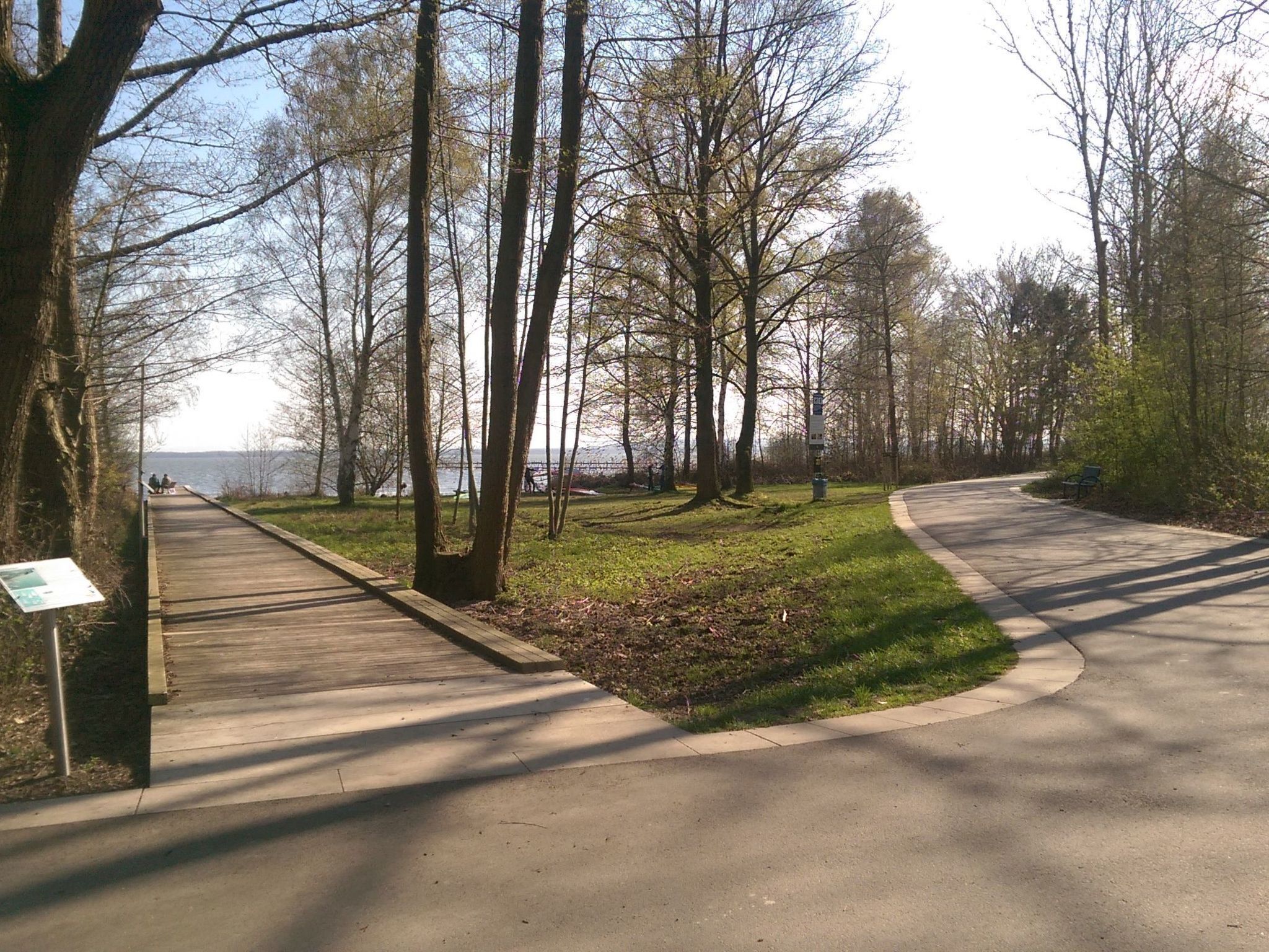 Un parc doté d’une promenade en bois, d’espaces verdoyants et d’arbres.