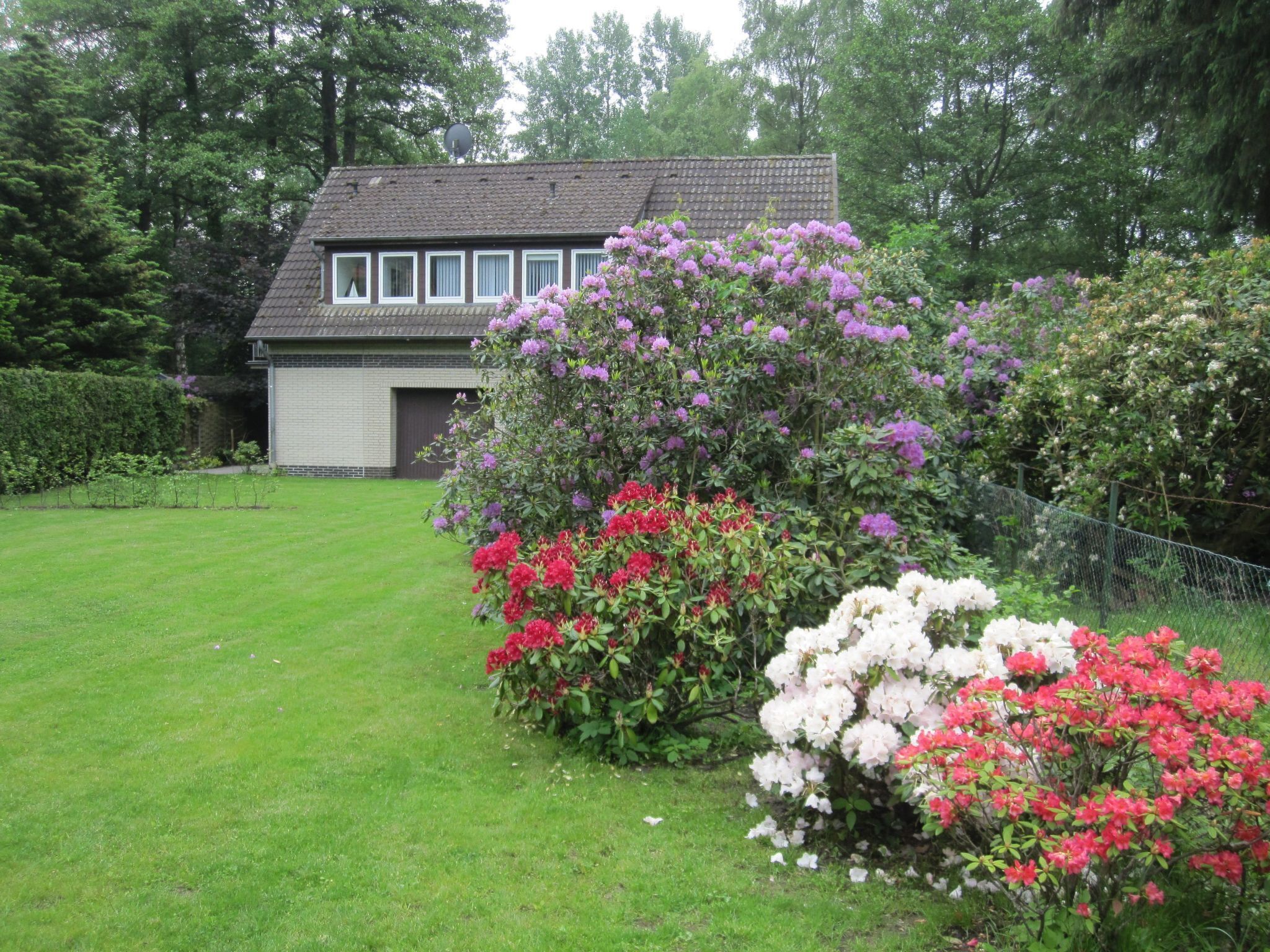 Ein Haus mit Garten und verschiedenen blühenden Pflanzen.