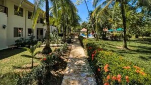 A pathway lined with palm trees and a pool area, leading to a building with multiple windows and a covered outdoor seating area. - With preferential price for monkey tours (Quepos)