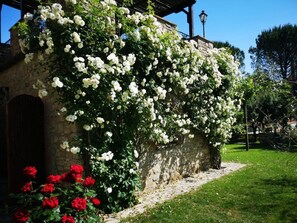 Property grounds - Altes Haus in Rotecastello mit großem Pool by Interhome (San Venanzo)