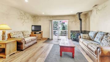 Ălytelevisio, takka, DVD-soitin