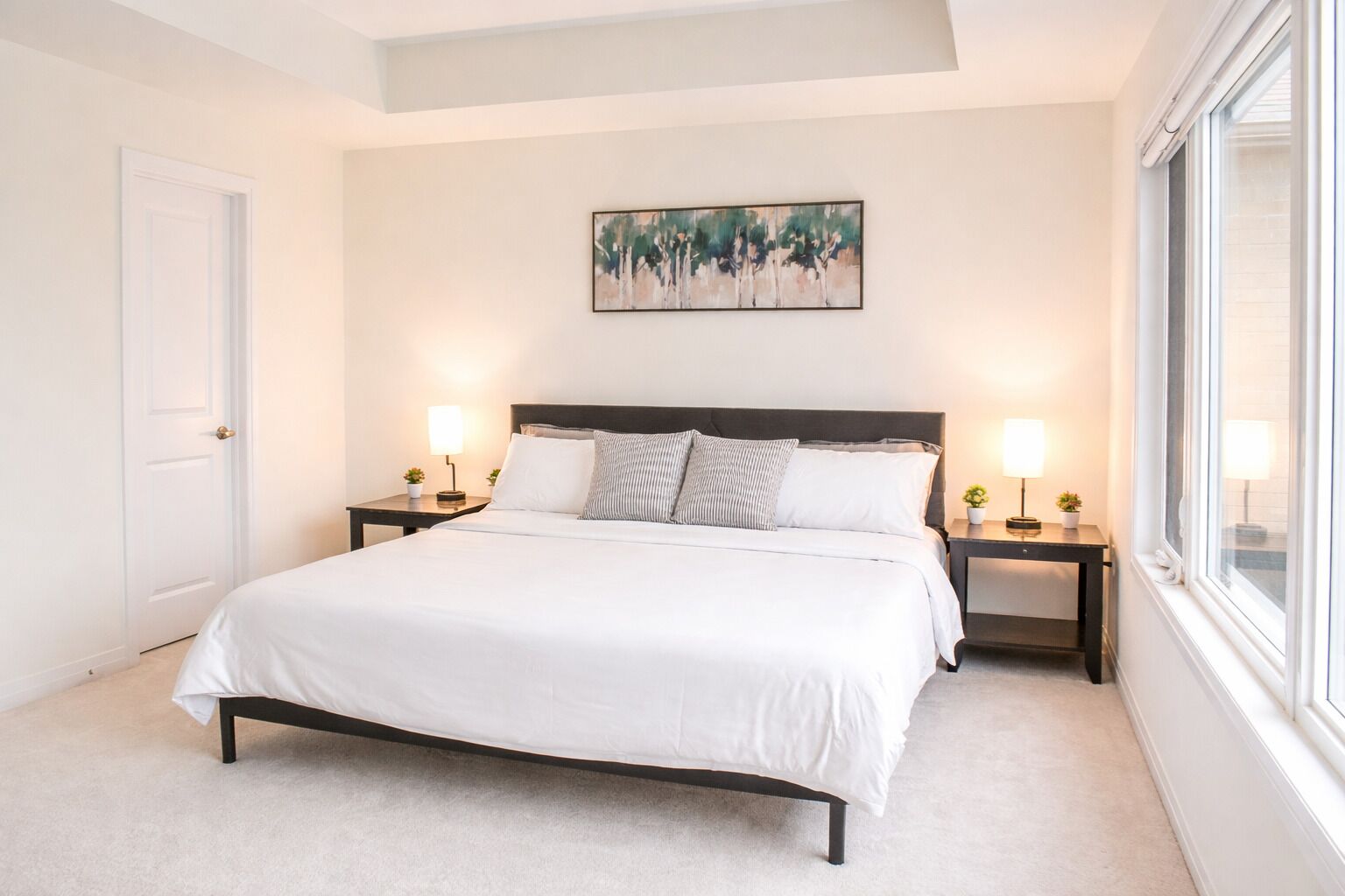 Ferro/asse da stiro, accesso a Internet, lenzuola