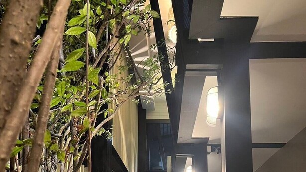 Un couloir intérieur étroit avec un escalier, un petit bassin orné d’une sculpture de canard et un arbre aux feuilles vertes.