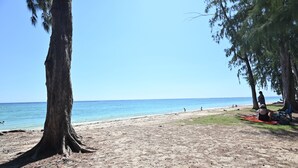 Une plage avec un grand arbre, un ciel bleu clair et une mer calme.